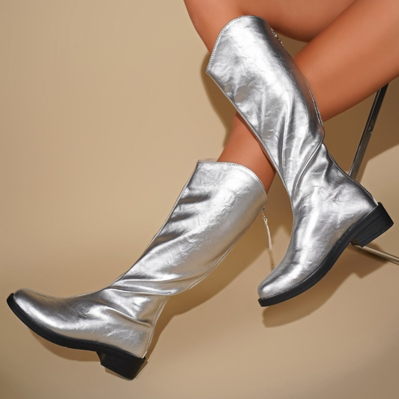 Women Silver Knee High Boots V - đánh giá và giá Women'S Fashion Knee High Boots