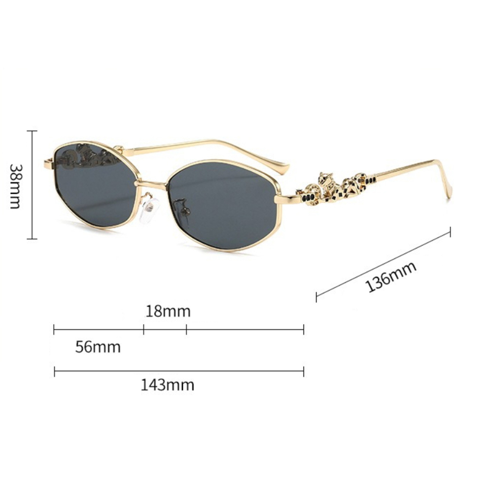 2026 Metal Frame Sunglasses Le - đánh giá và giá Women Fashion Photoshoot